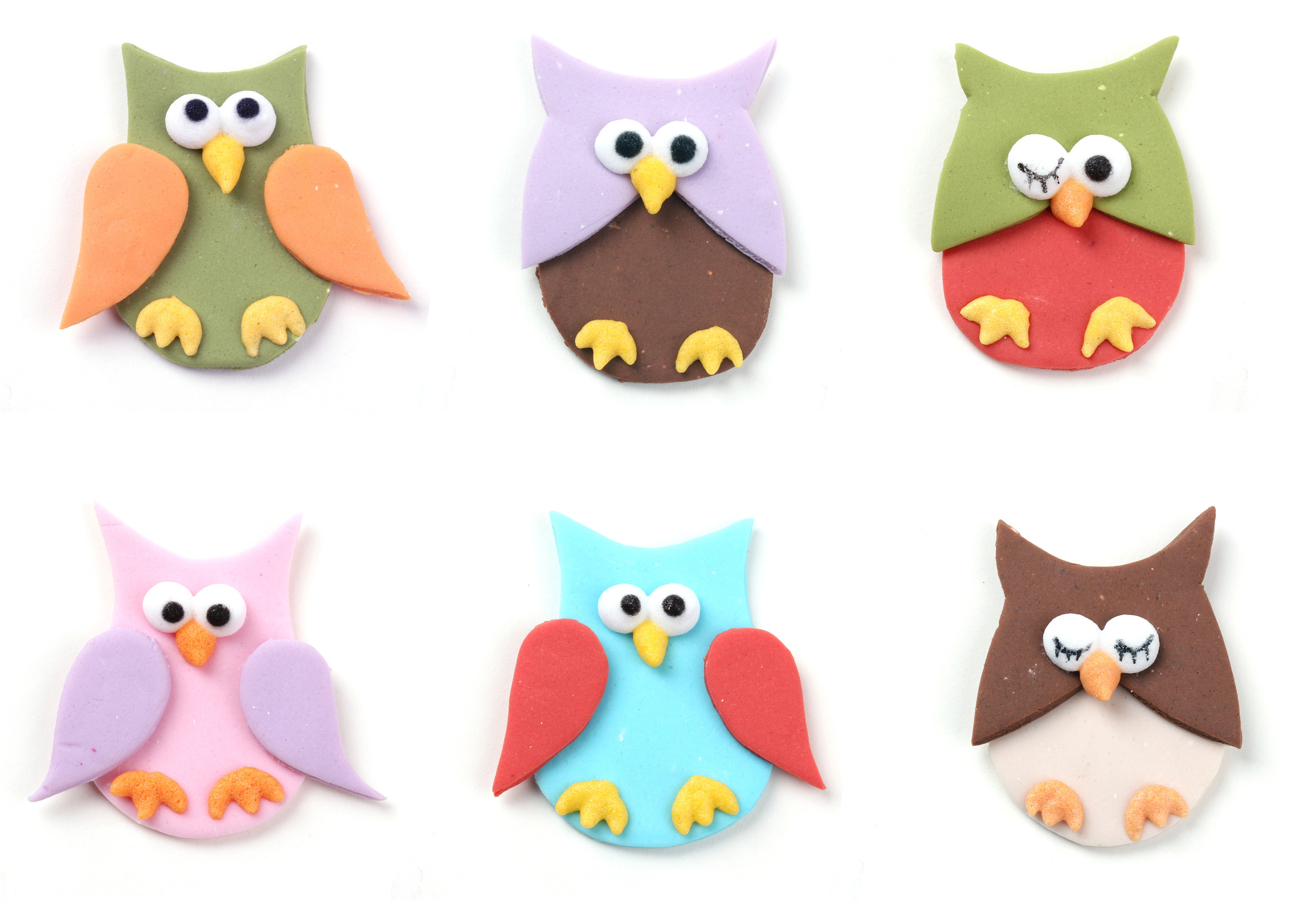 Colourful owls