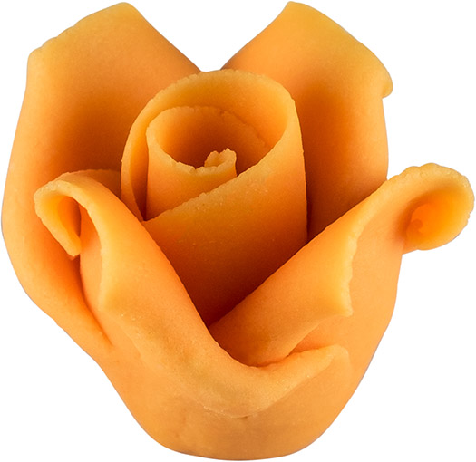 Roses pastel orange large