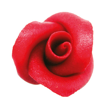 Red rose medium