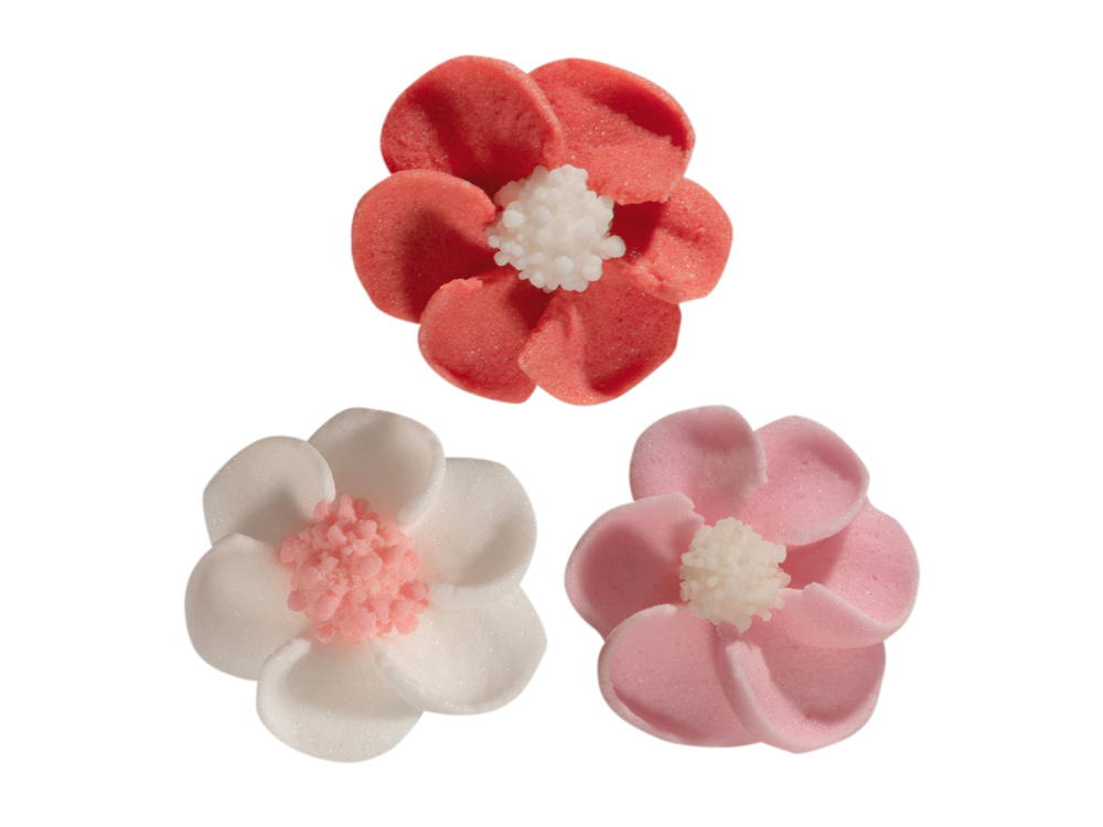 Flowers white/pink/red